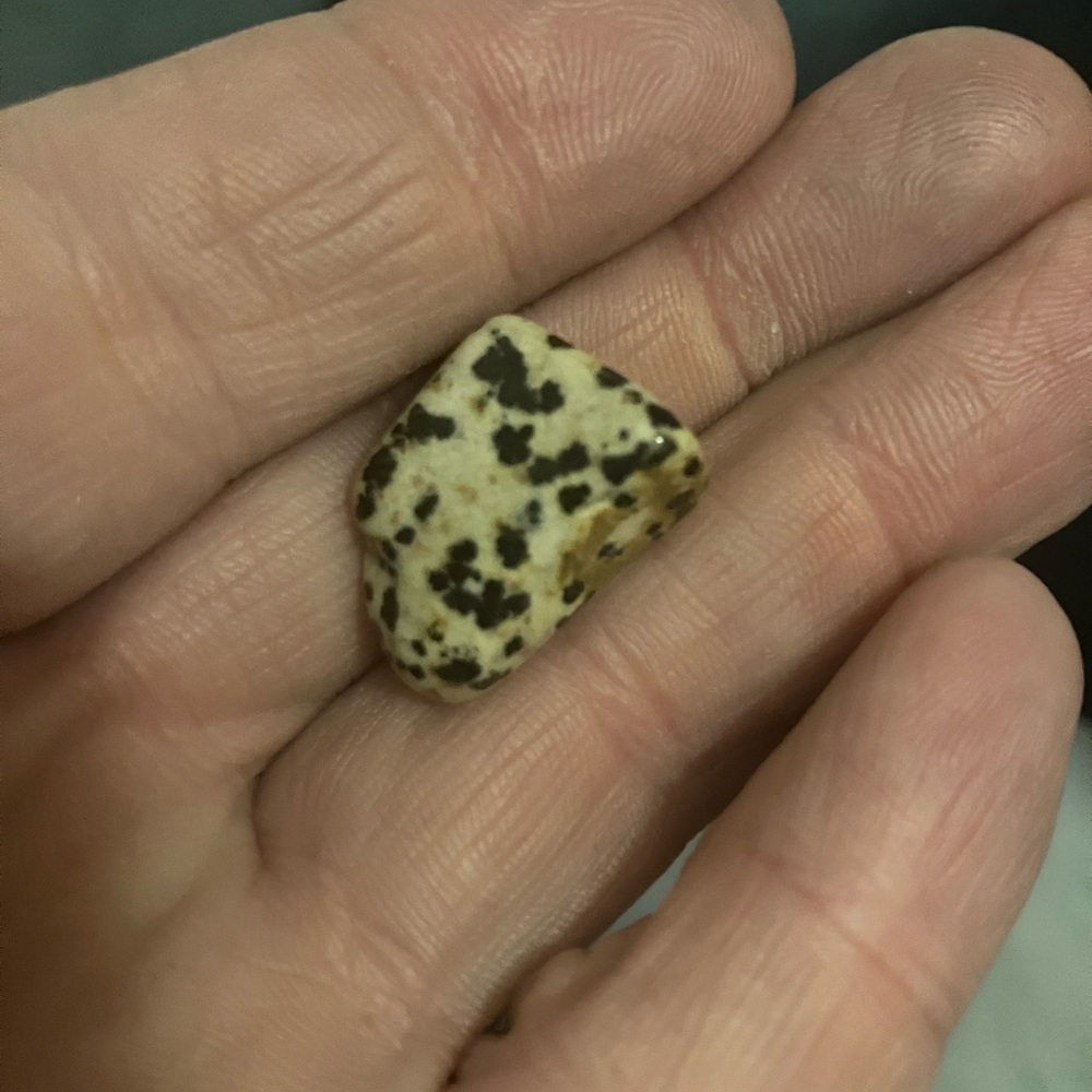 Dalmatian Jasper Tumbled Stone